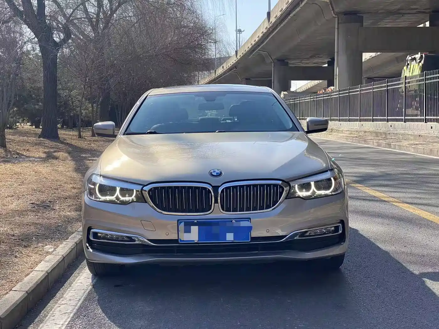 BMW 5 Series 2018 525Li Luxury Package фото 2