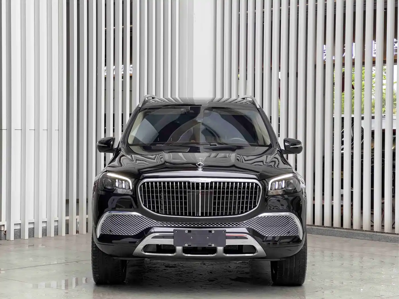 Mercedes-Benz Maybach GLS 2021 GLS 480 4MATIC фото 2