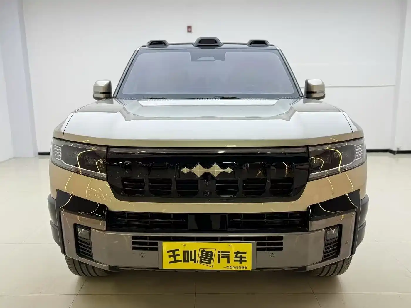 FANG CHENG BAO LEOPARD 8