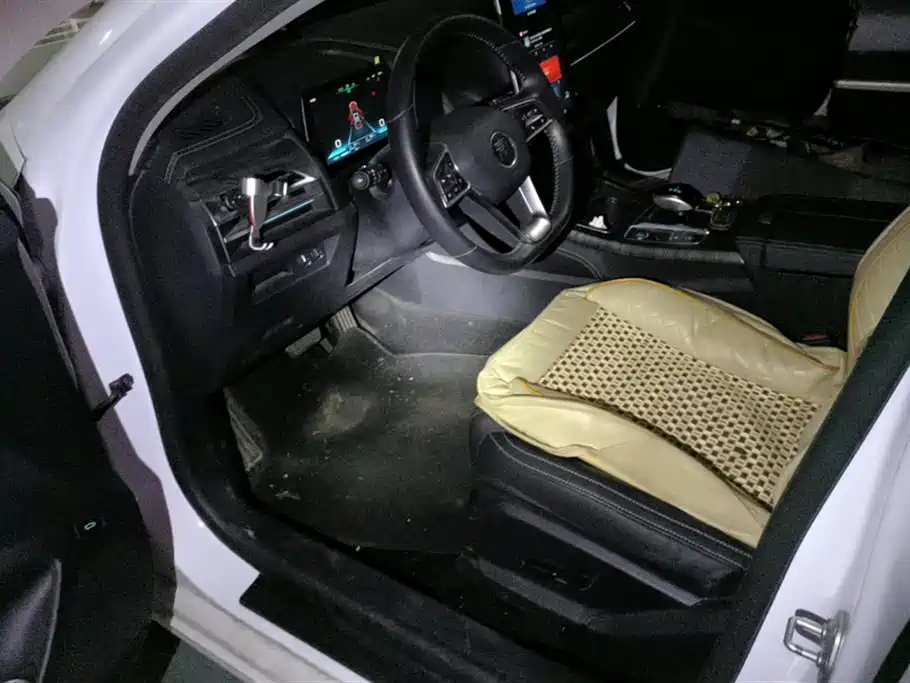 BYD QINHUANGDAO NEW ENERGY