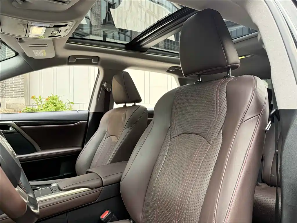 Lexus RX 2020 300 4WD Elegance Edition China VI фото 16