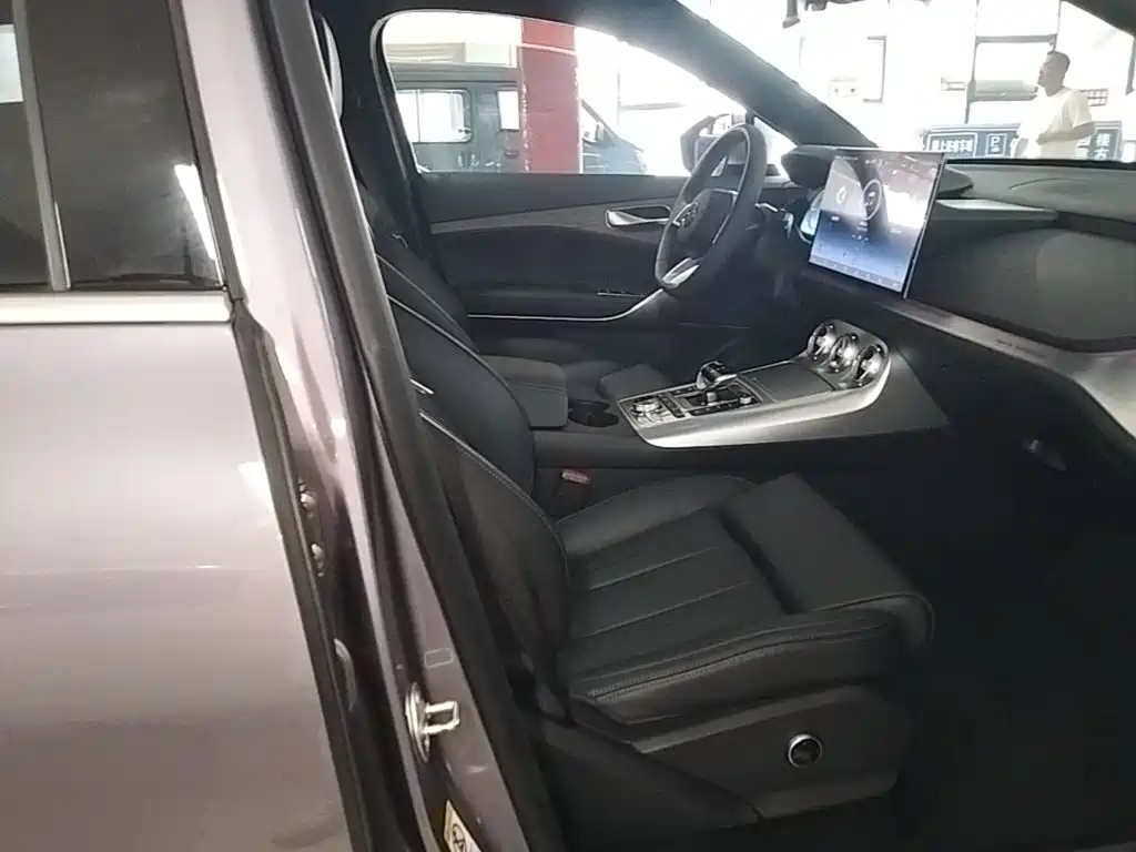 Denza X 2021 2020 Model PHEV Flagship Edition