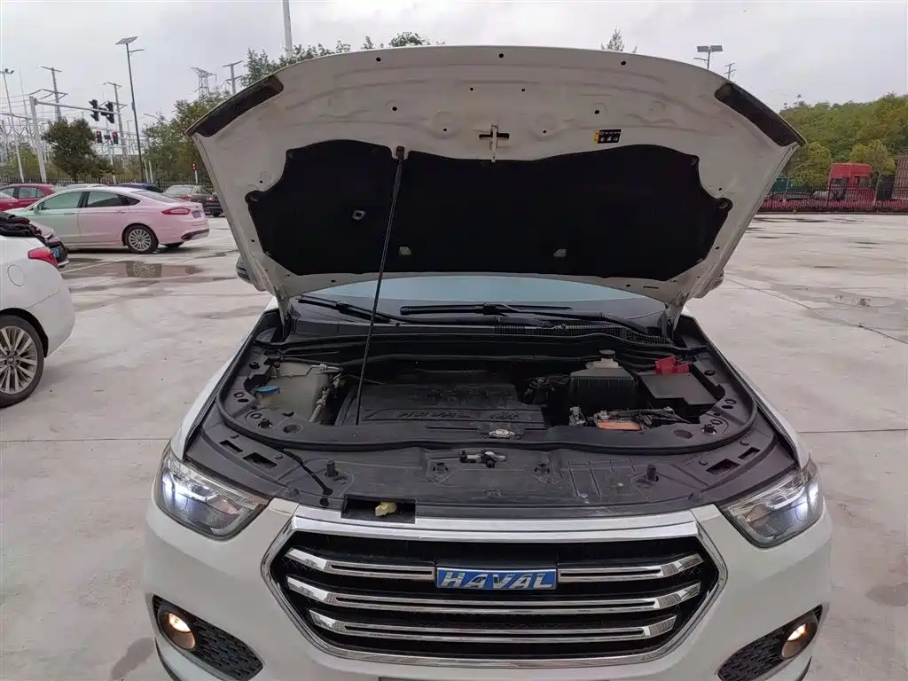 Haval H6 2018 Blue Label Sport 1.5T Automatic 2WD Elite фото 20