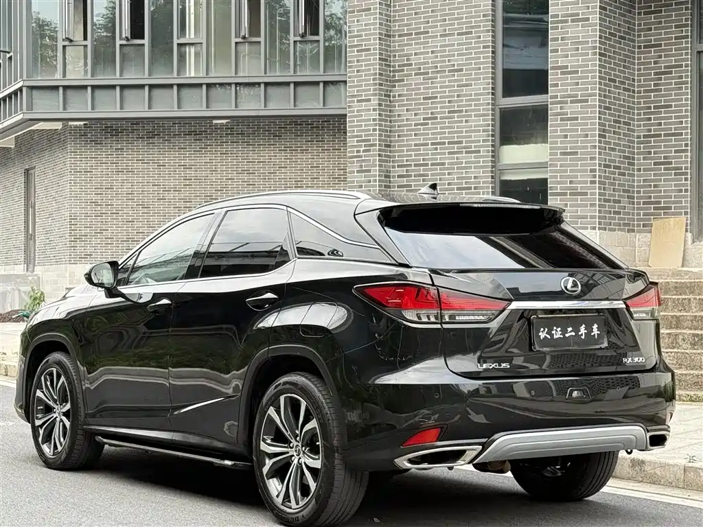 Lexus RX 2020 300 4WD Elegance Edition China VI фото 3