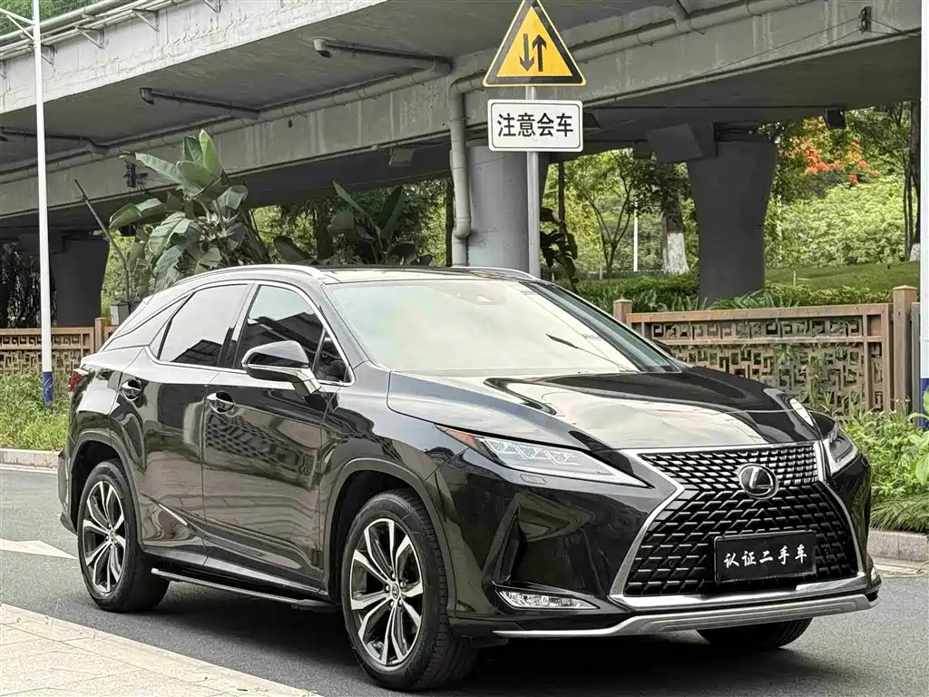 Lexus RX 2020 300 4WD Elegance Edition China VI фото 10
