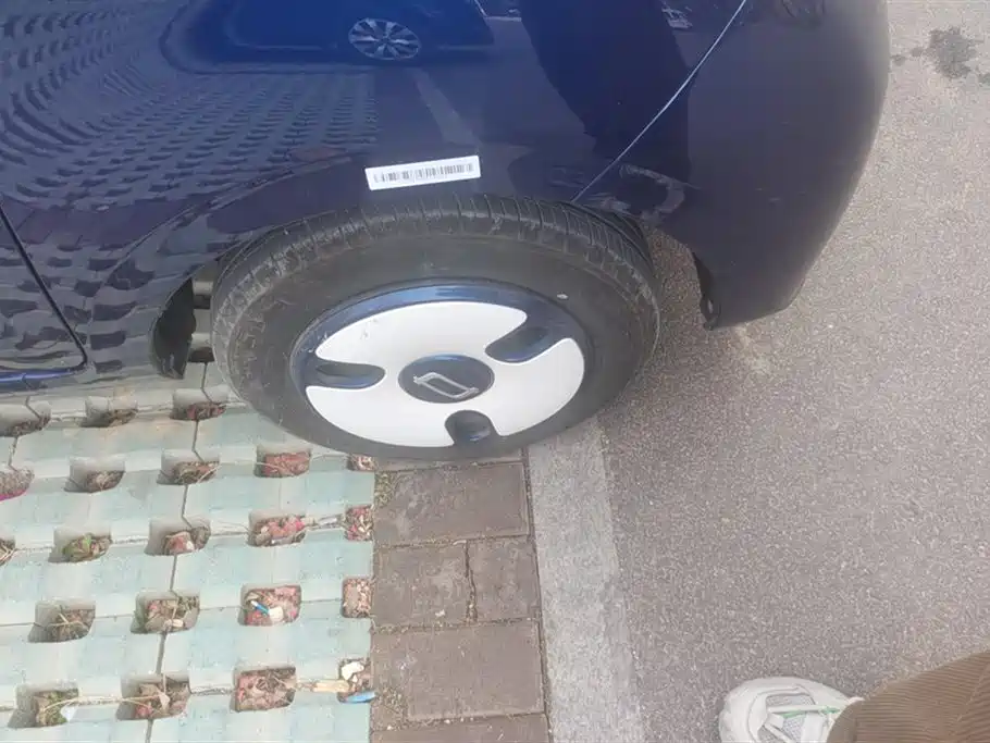 BESTUNE PENTIUM PONY