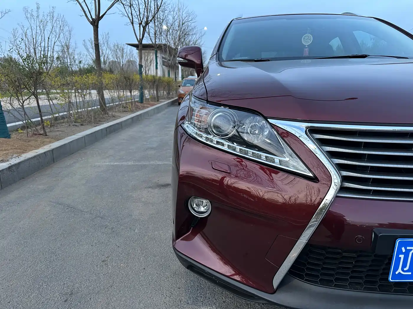 Lexus RX Classic 2014 270 Special Limited Edition фото 11