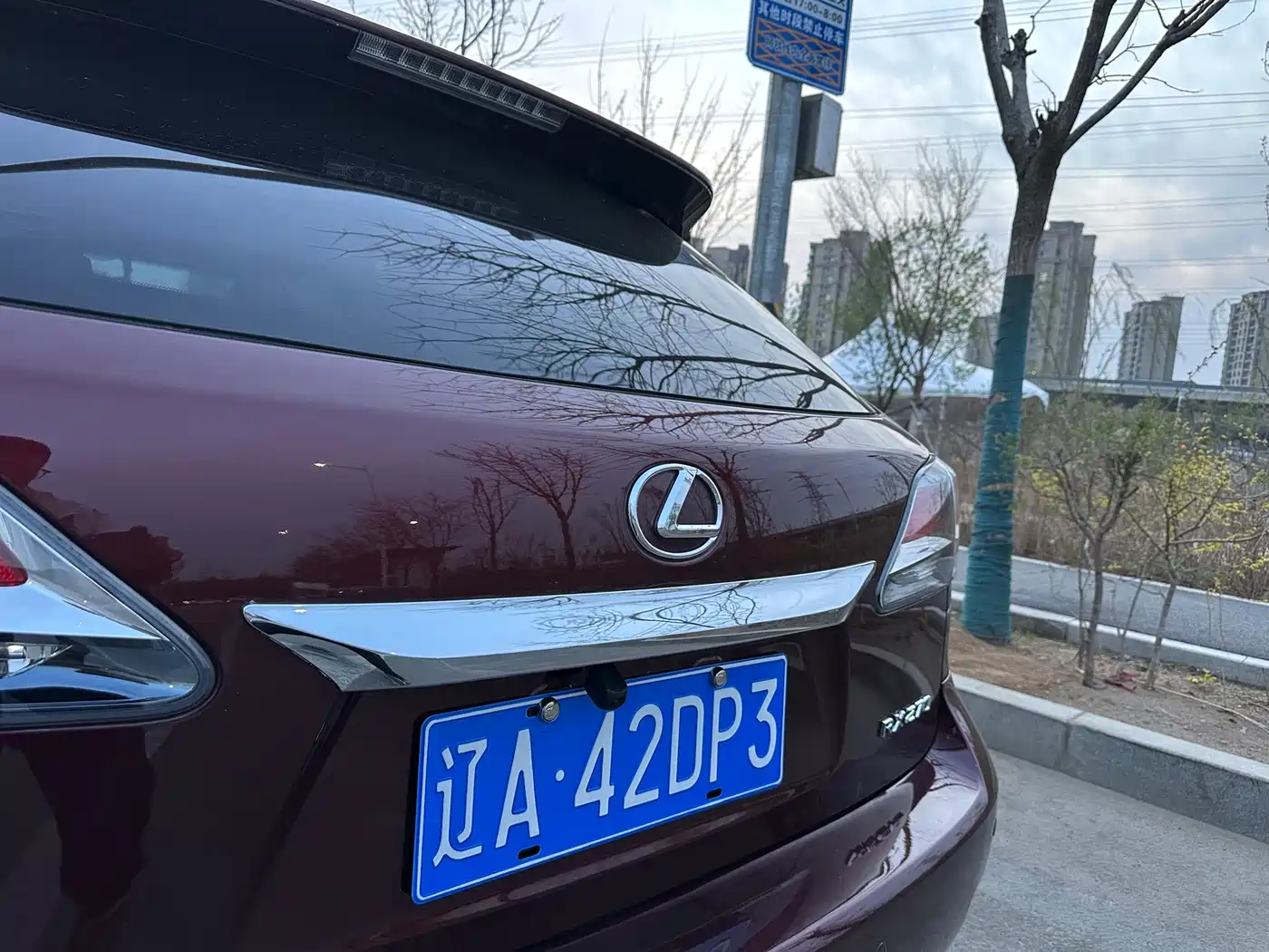 Lexus RX Classic 2014 270 Special Limited Edition фото 13