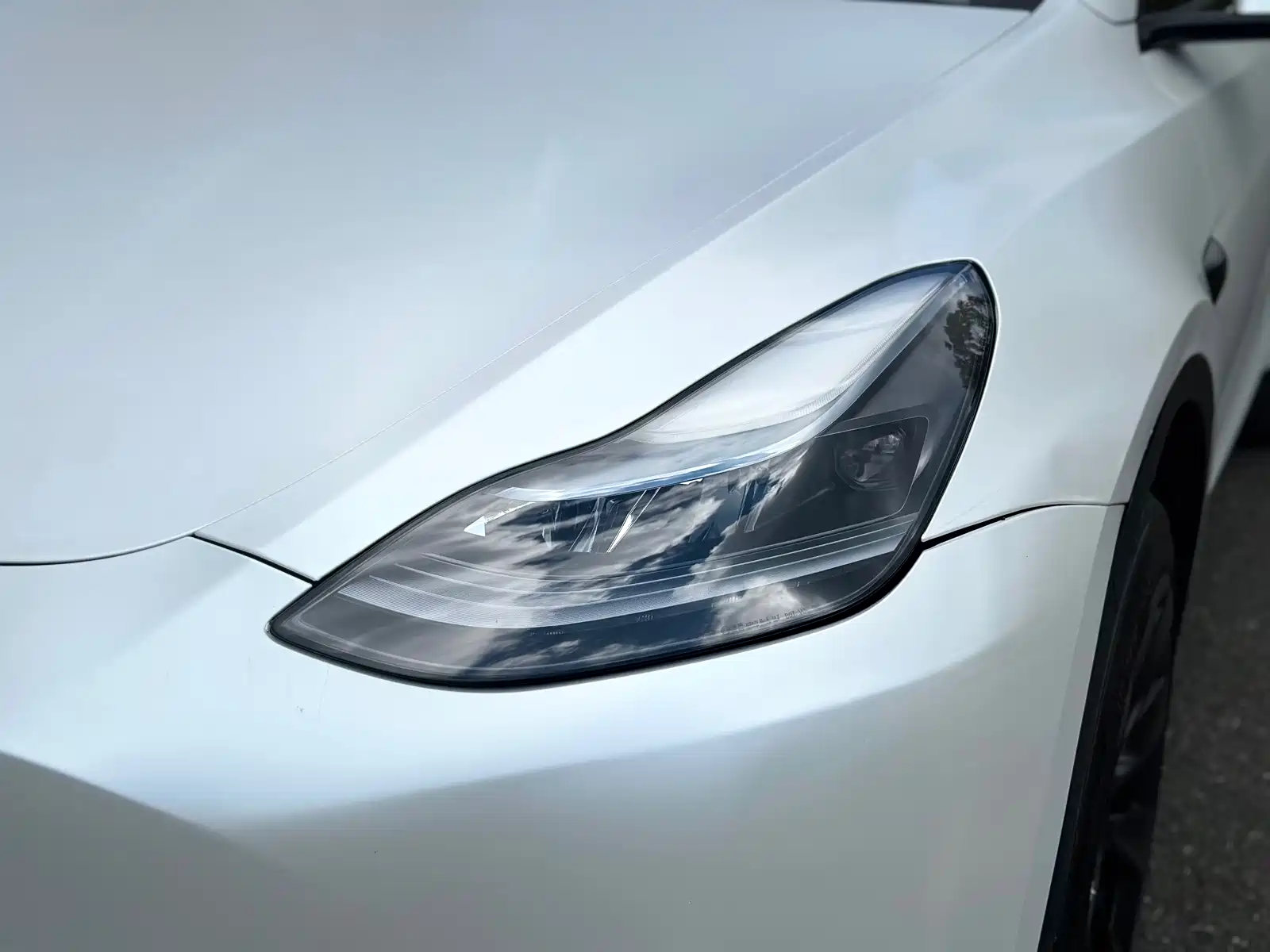 Фото 4 - Tesla Model Y