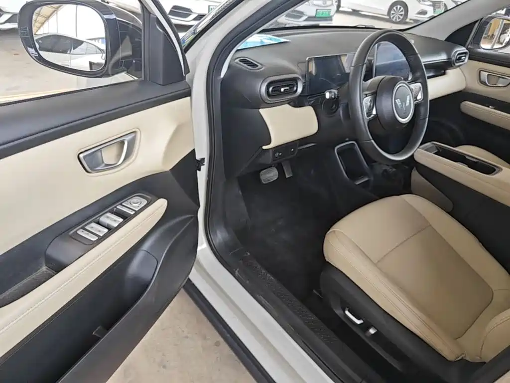Wuling Motors Wuling Binguo PLUS 2025 2024 Model 330km 5-Seater