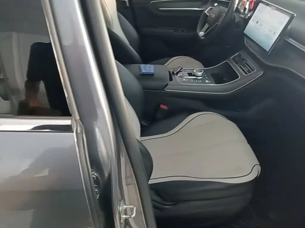 BYD Destroyer 05 2025 2024 Glory Edition DM-i 55KM Luxury