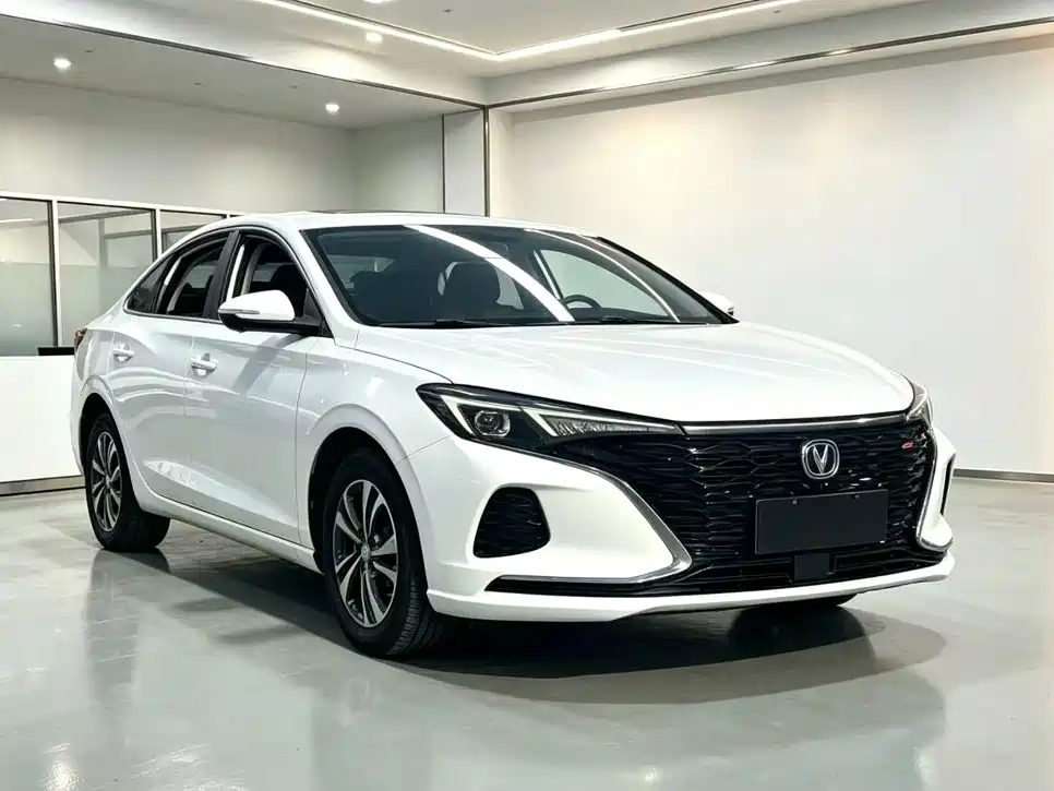 Фото 2 - Changan Eado