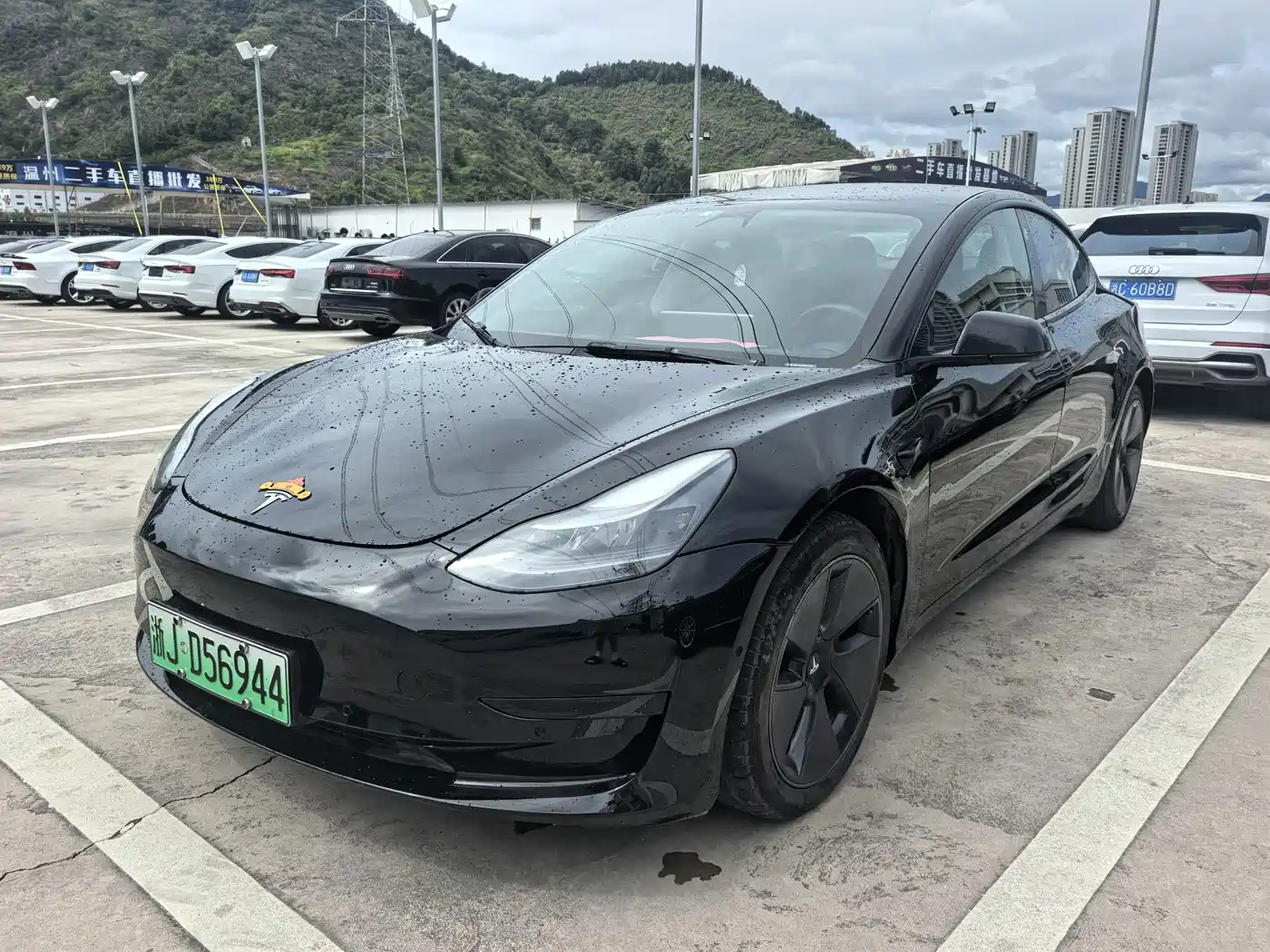 Tesla Model 3 2021