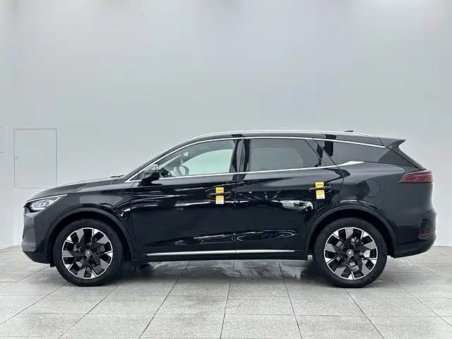 BYD Tang New Energy 2024 2024 Model DM-i Glory Edition 112KM Flagship Type