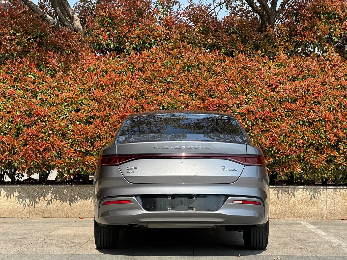 BYD Qin PLUS 2023 Champion Edition DM-i 55KM Leading фото 4