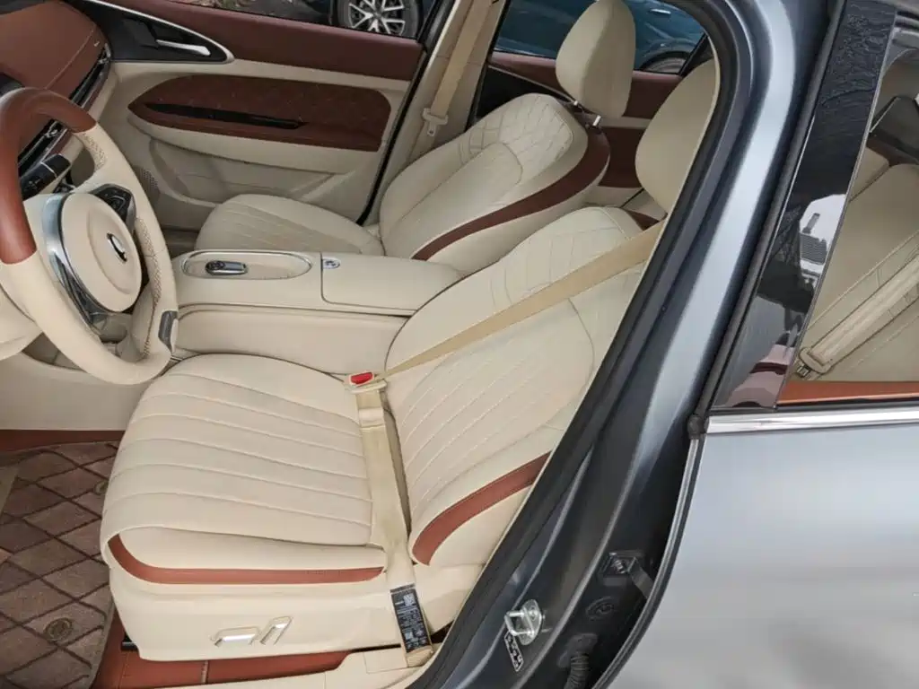 Ora Good Cat 2024 2024 401km Luxury