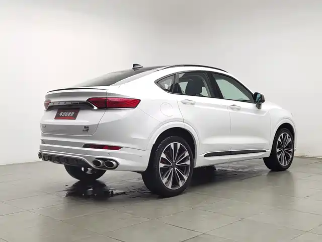 Geely Xingyue 2019 350T Star Rider — фото 2