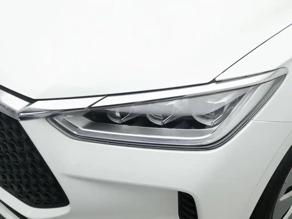 BYD e2 2020 2019 Standard Range Yue·Standard Model