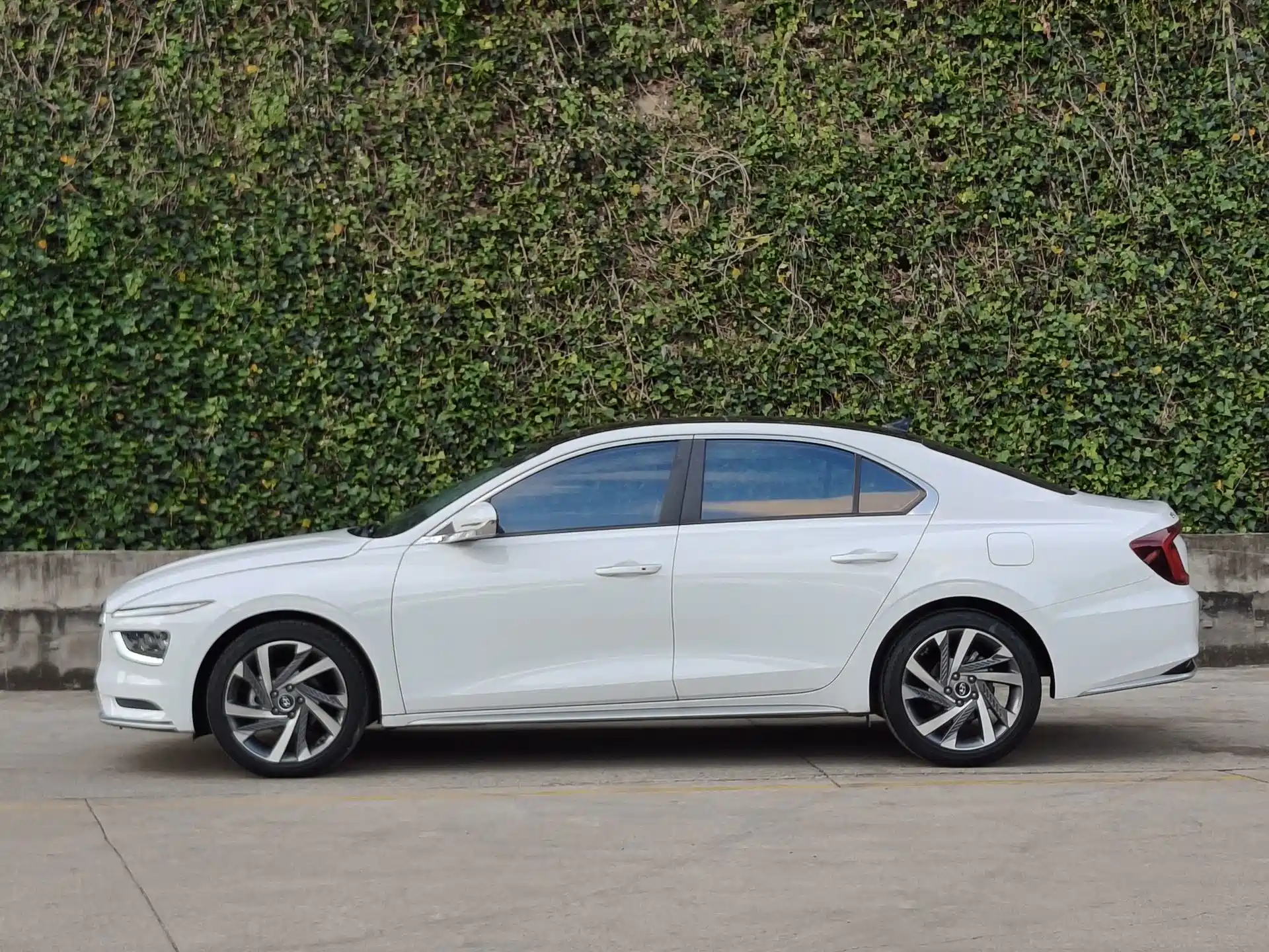 Фото 6 - Hyundai Mistra