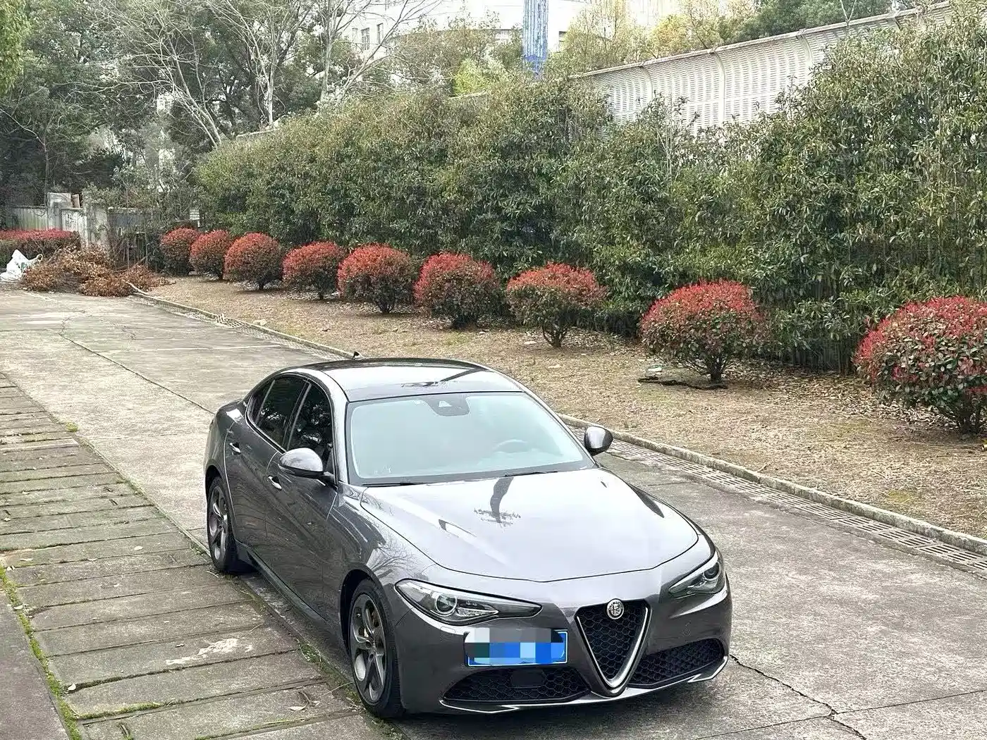ALFA ROMEO GIULIA