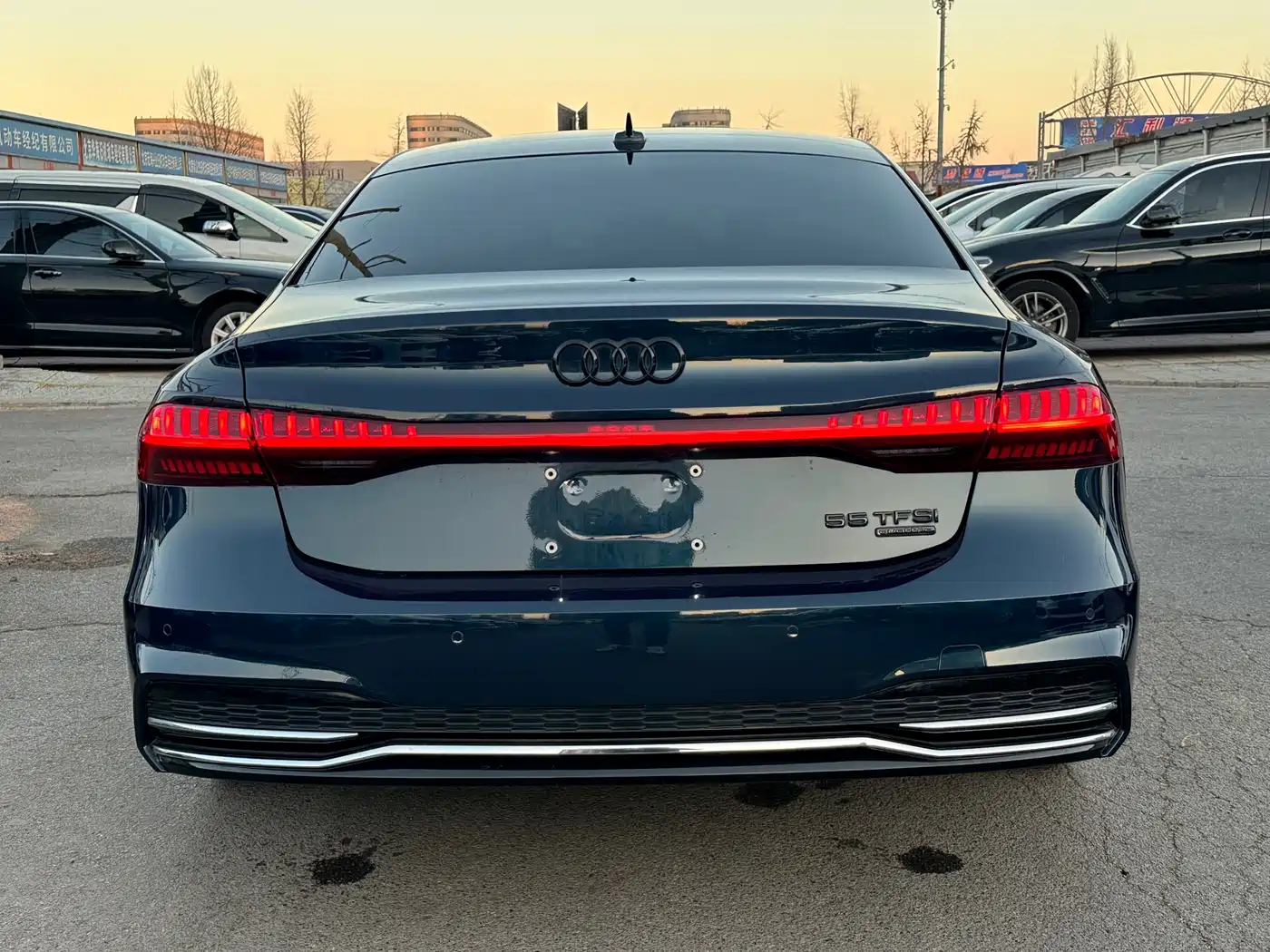 Audi A7L 2022 55 TFSI quattro S-line Horizon Edition Crystal Flow Package фото 17