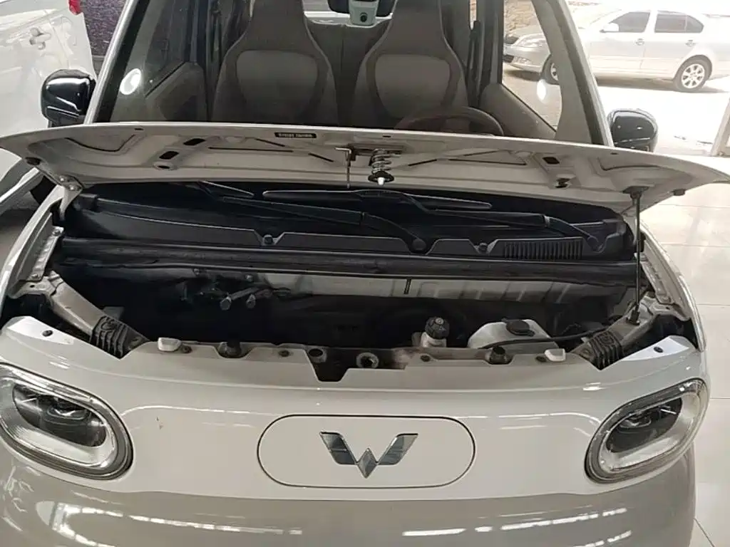 Фото 20 - Wuling Motors Hongguang MINIEV