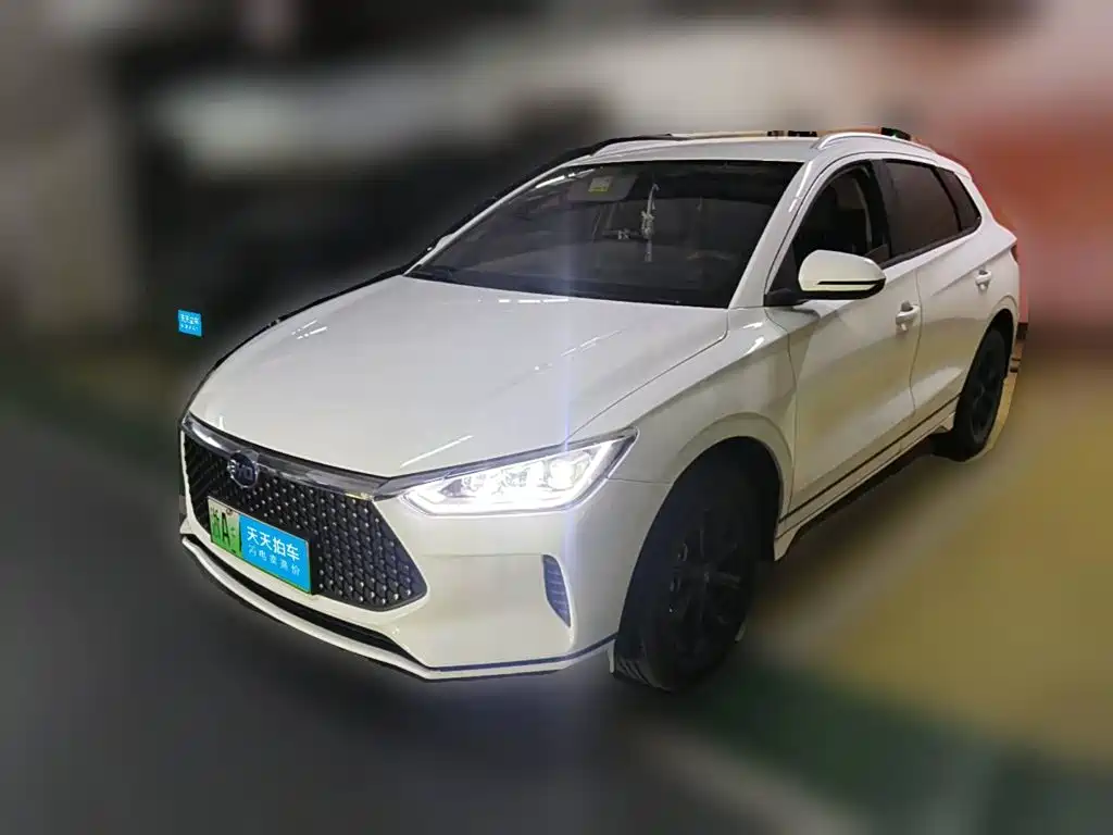 BYD e2 2022 2021 Luxury Edition