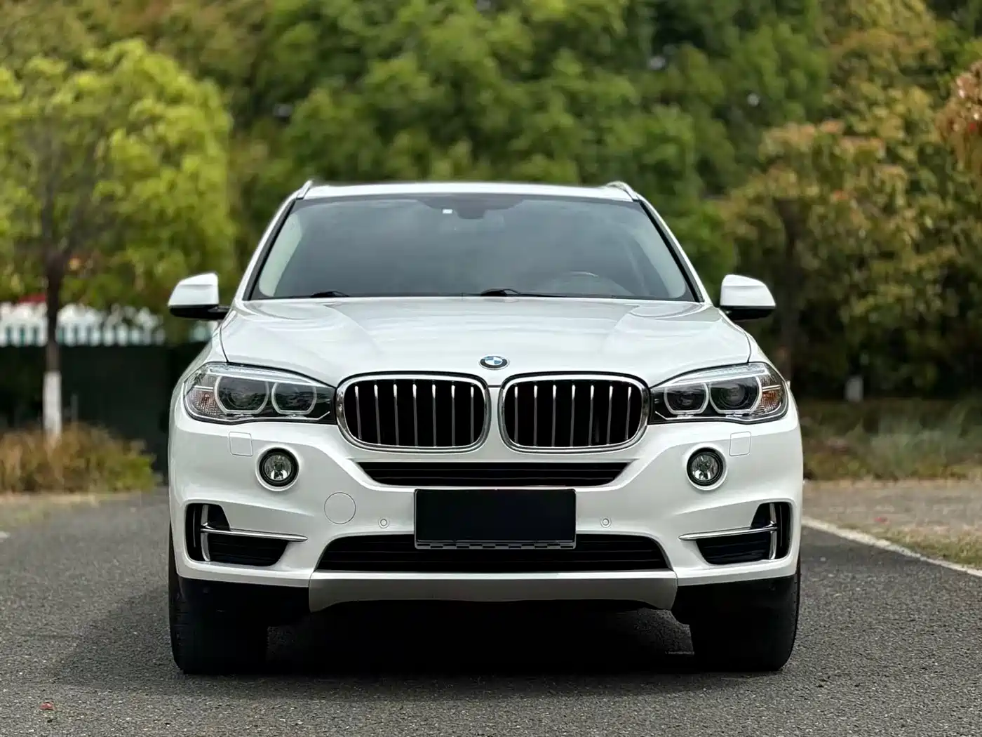 BMW X5 (Import) 2018 xDrive28i фото 2