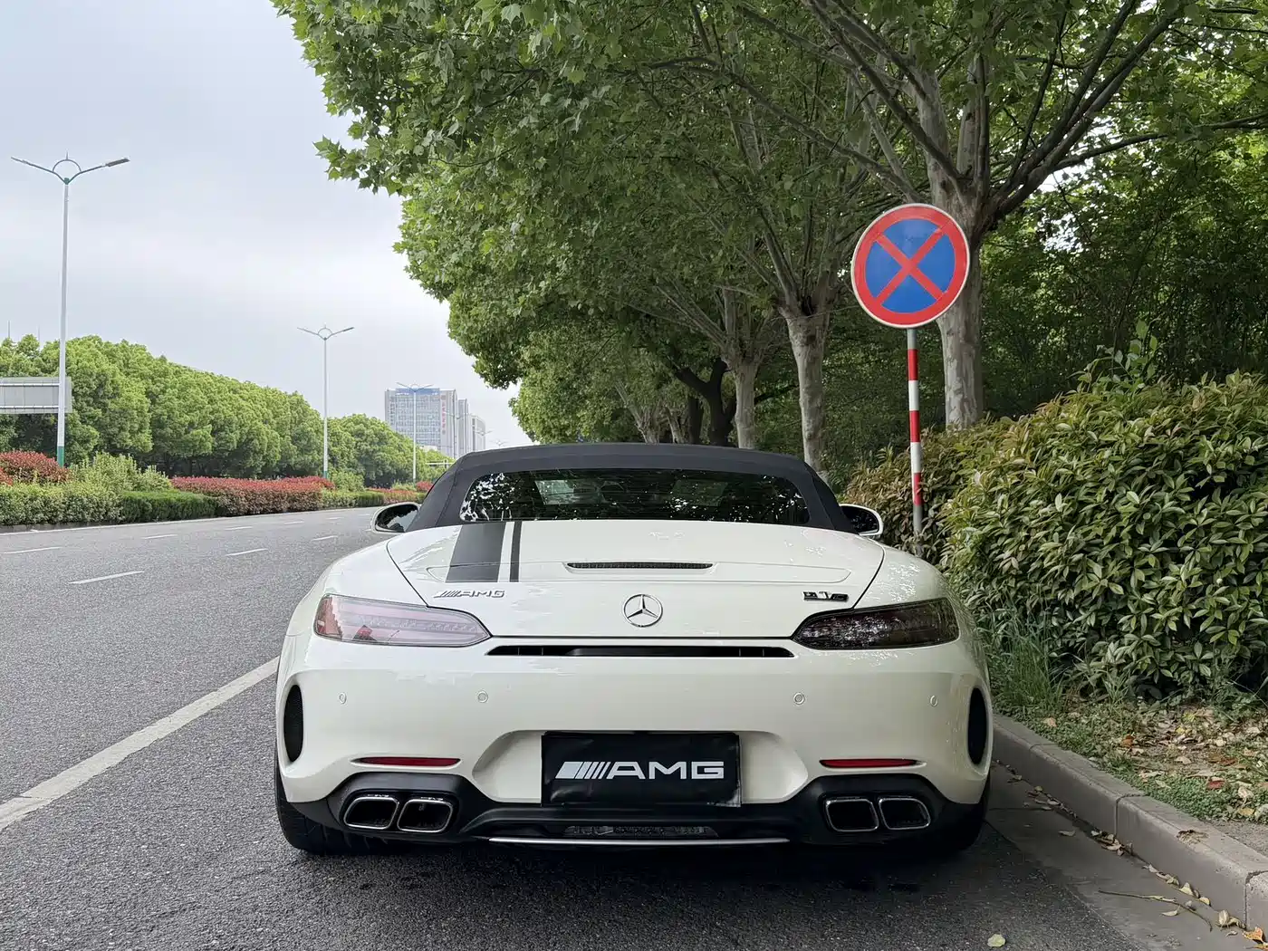 Mercedes-Benz AMG GT 2019 AMG GT C Roadster фото 7