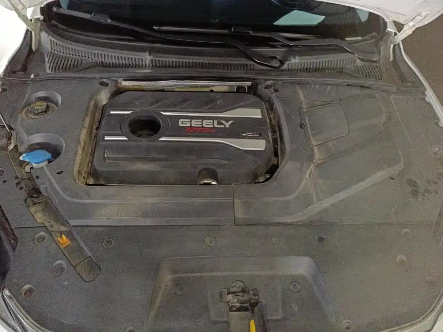 Geely Binrui 2018 2018 1.4T CVT Binzhi Edition