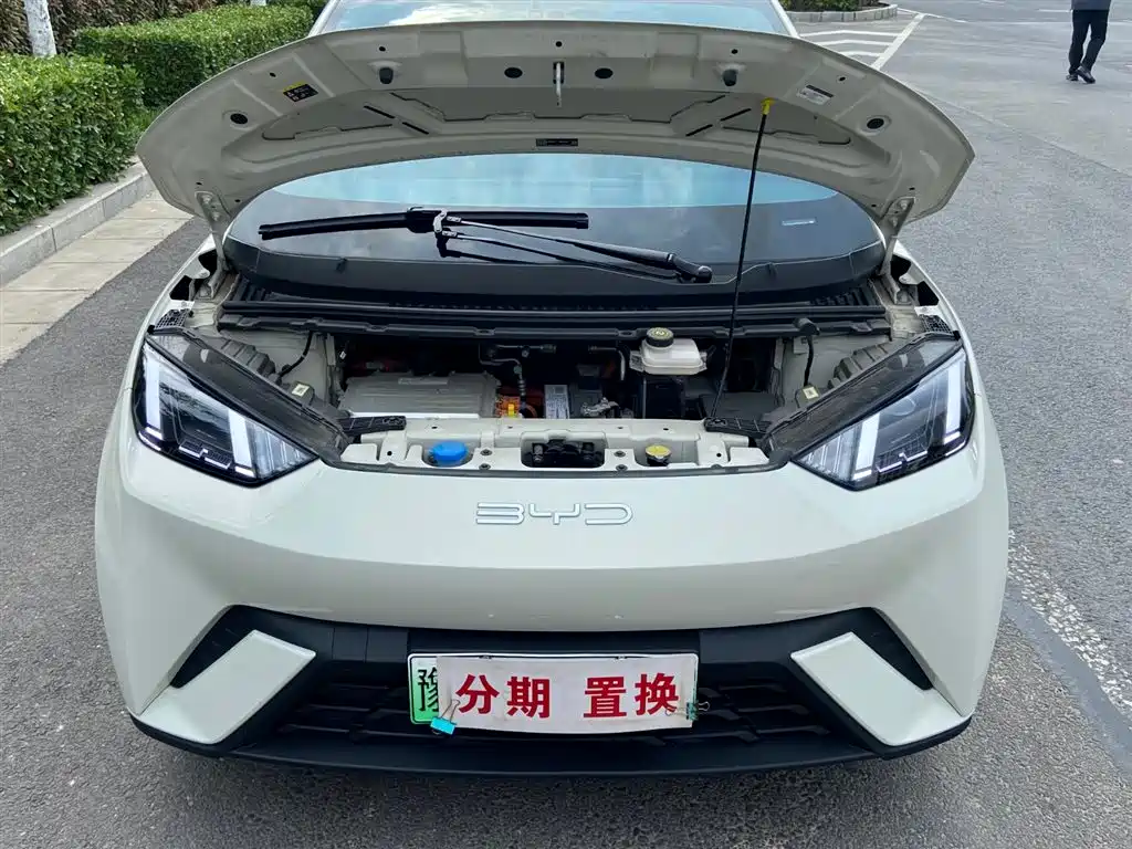 BYD Seagull 2023 Freedom Edition фото 19