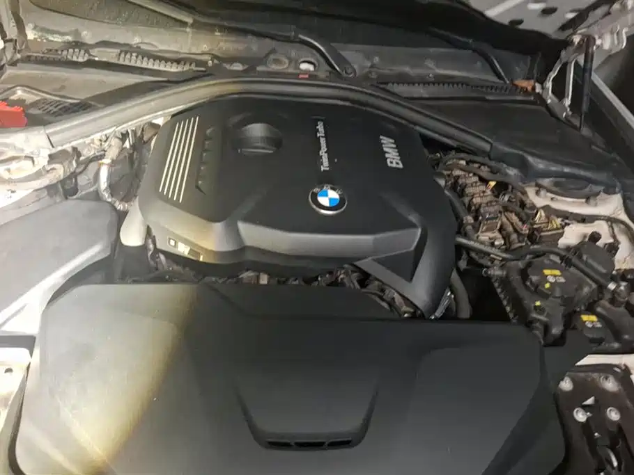 BMW 3 Series GT 2017 320i Luxury Design Package фото 10