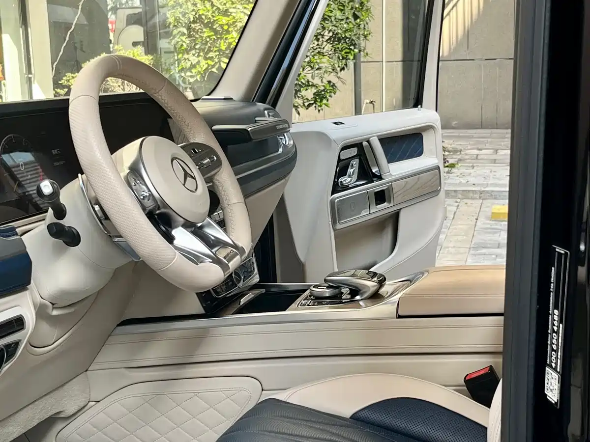Mercedes-Benz G-Class 2020 G 500 Time Inscription Special Edition фото 16