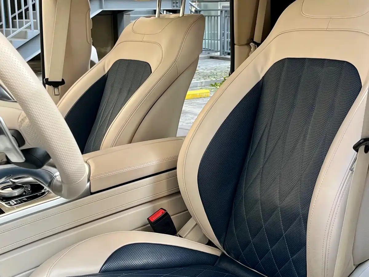 Mercedes-Benz G-Class 2020 G 500 Time Inscription Special Edition фото 22