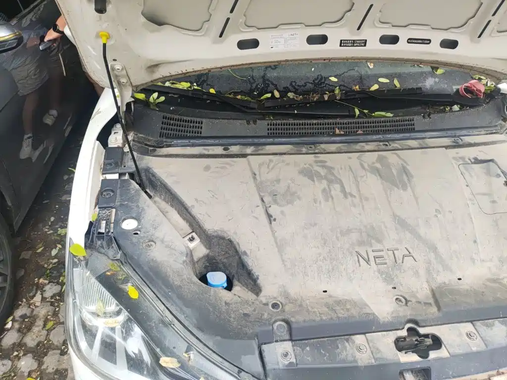 Nezha Auto Nezha V 2023 2022 Trend 400 Lite