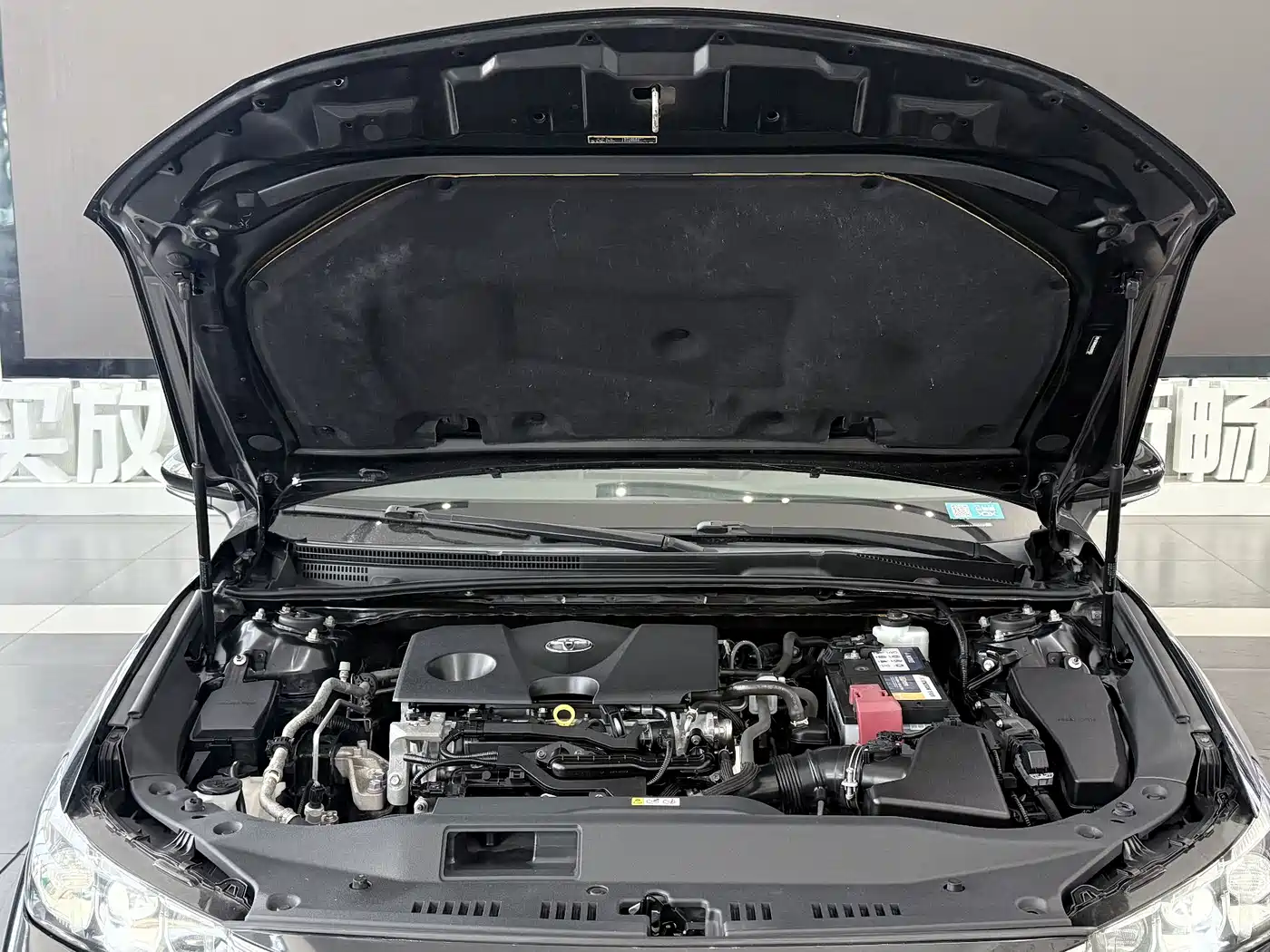Toyota Avalon 2020 2019 2.0L XLE Premium Edition (China VI)