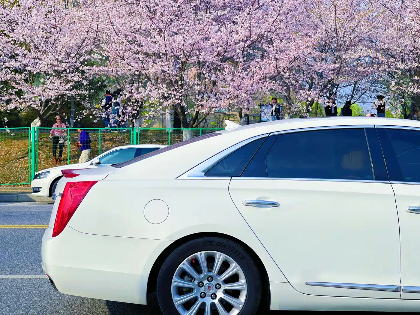 Cadillac XTS 2013 28T Luxury фото 18