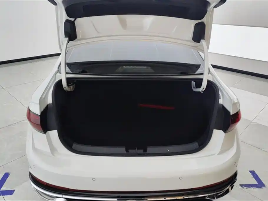 Volkswagen Sagitar 2024 300TSI DSG Surpass Edition фото 4