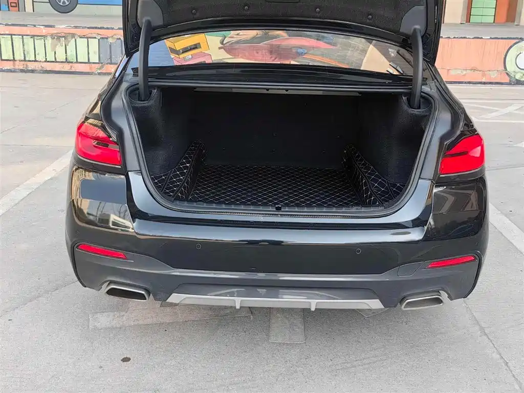 BMW 5 Series 2021 530Li Leading M Sport Package фото 15