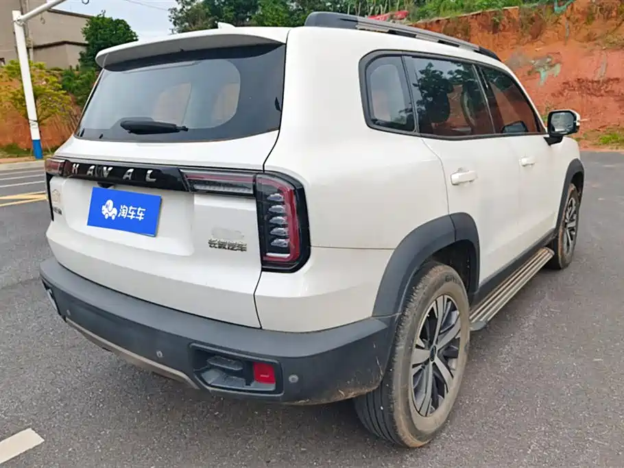 Haval Big Dog 2021 1.5T DCT 2WD Labrador Edition фото 3