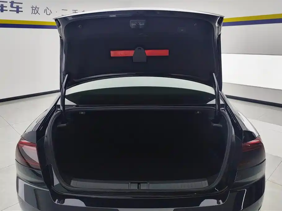 Volkswagen Magotan 2020 380TSI DSG Luxury фото 4