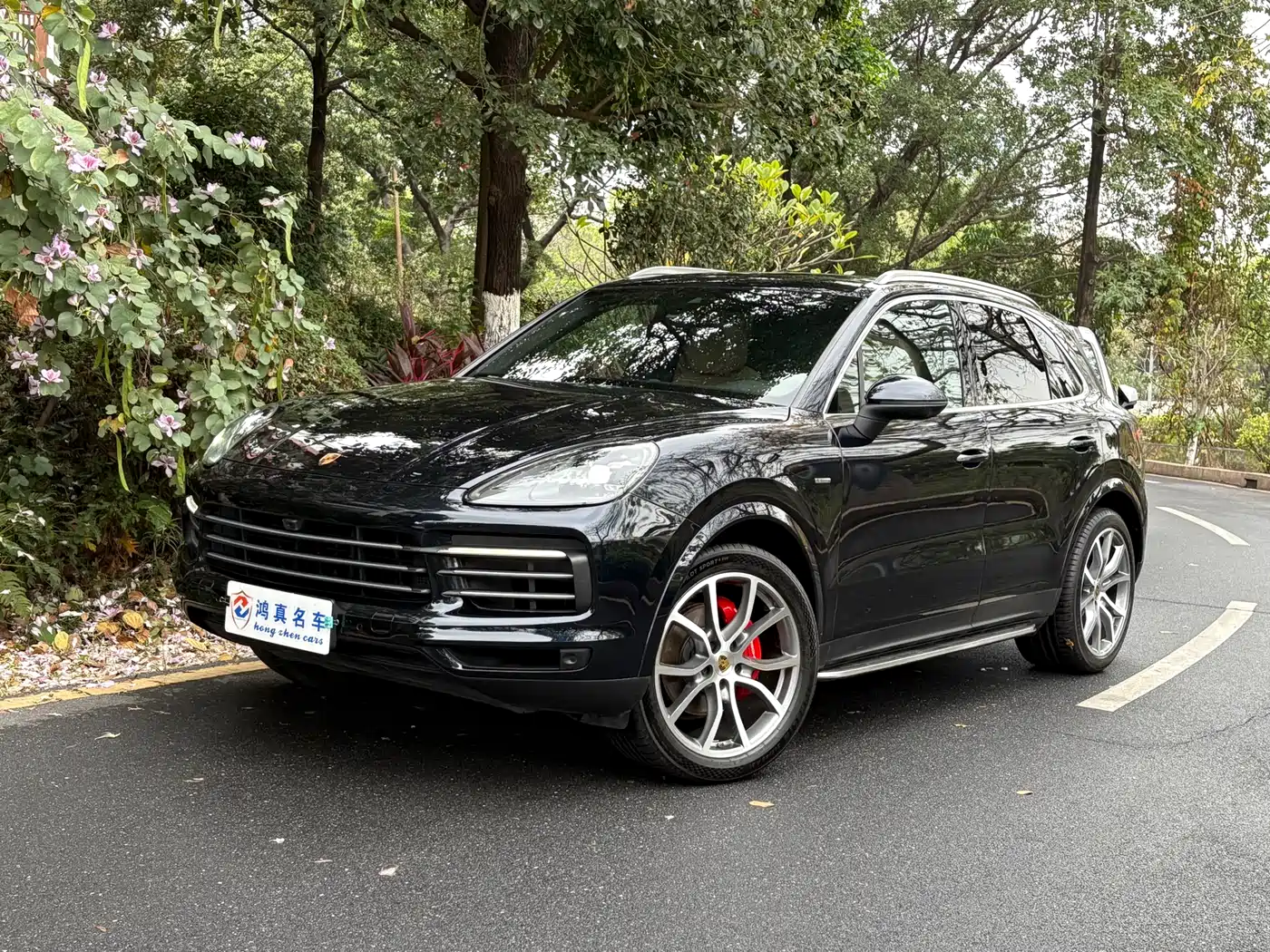 Porsche Cayenne 2019 Cayenne 3.0T