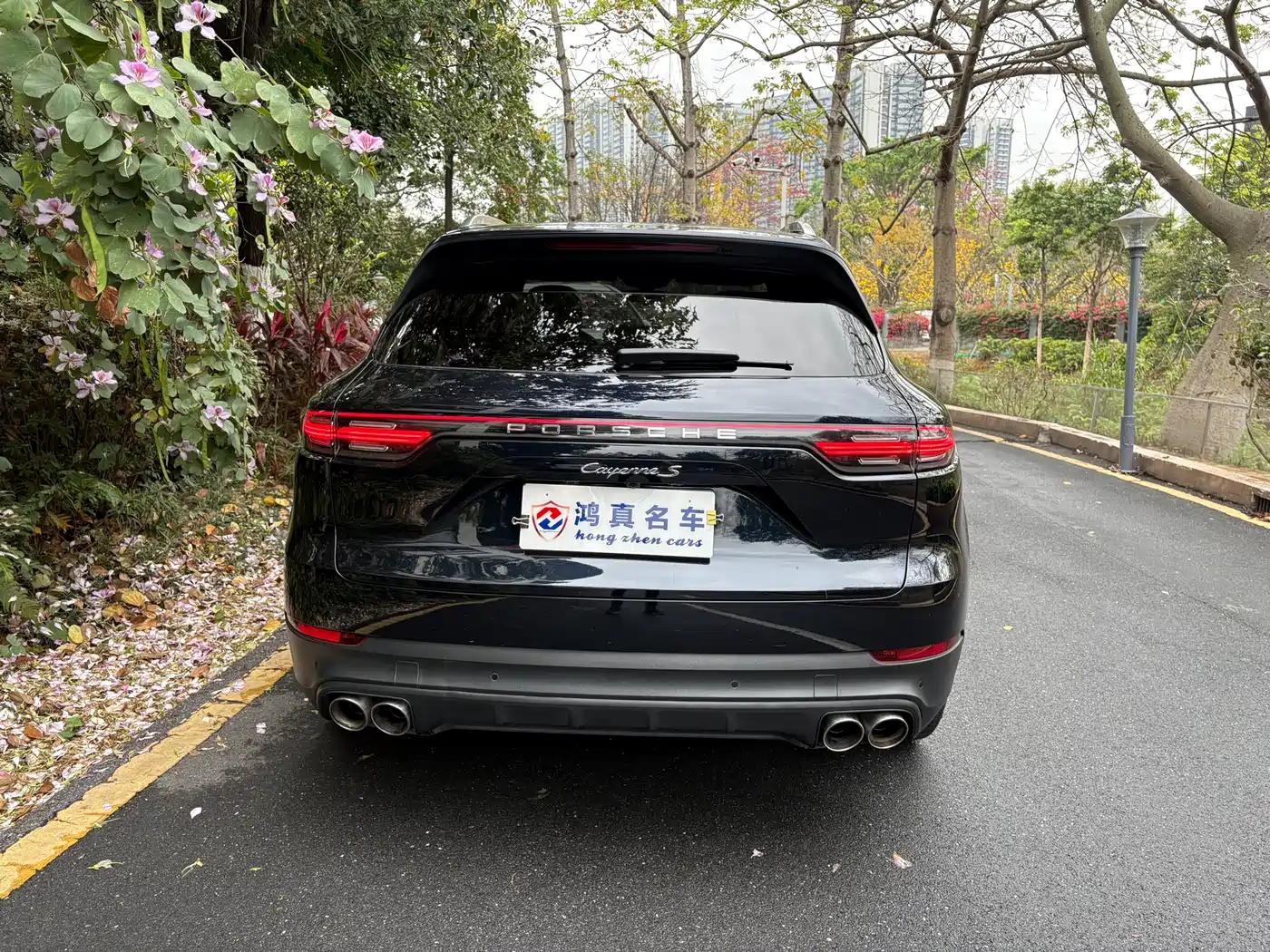 Porsche Cayenne 2019 Cayenne 3.0T фото 4