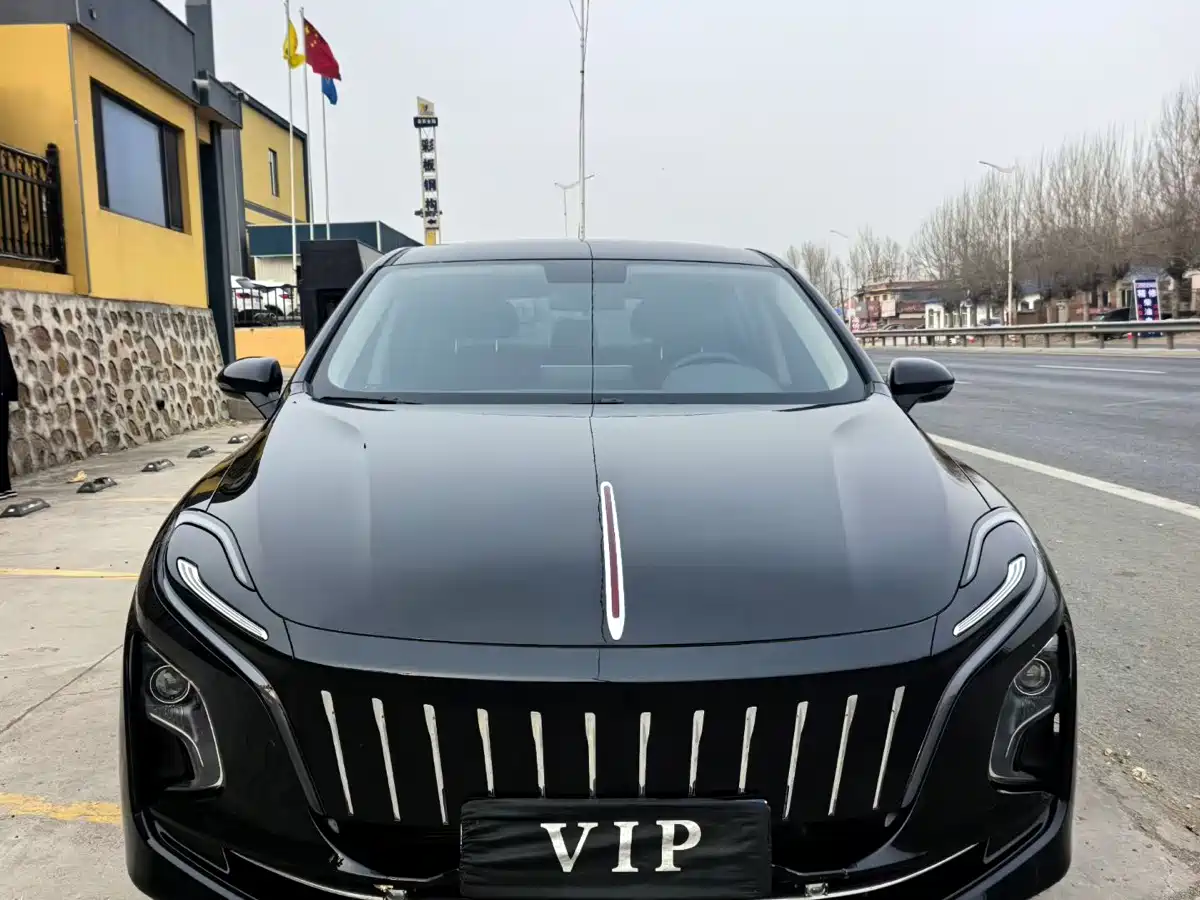 Hongqi HONGQI E QM5