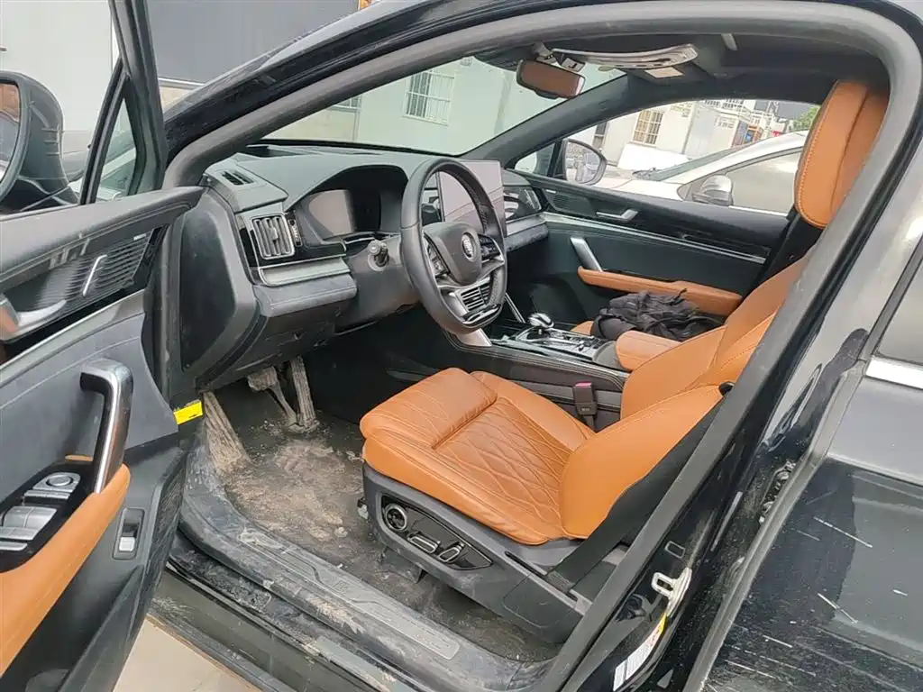 BYD Tang New Energy 2022 EV 730KM Premium фото 11