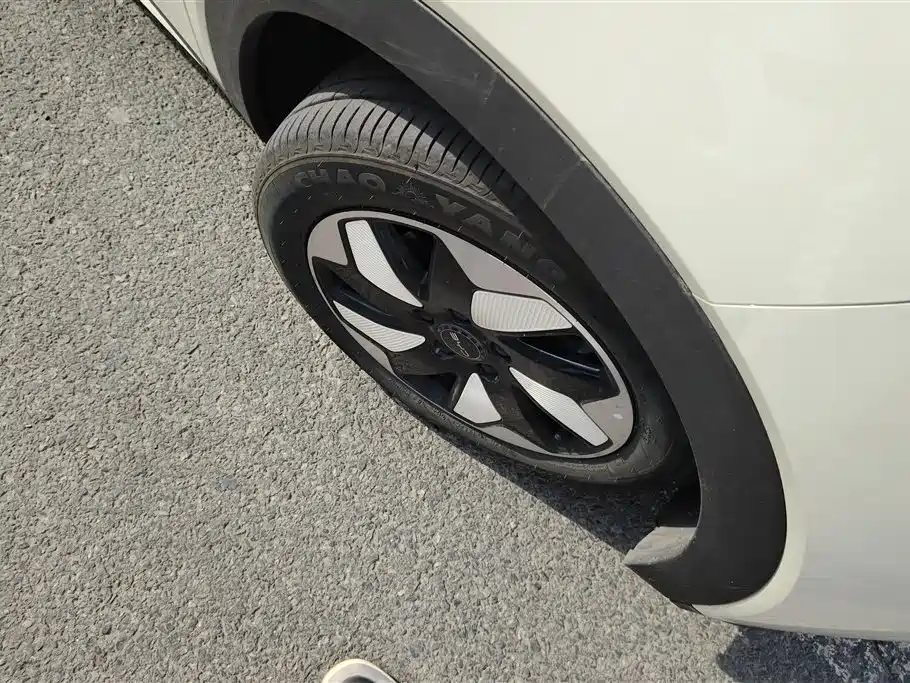 BYD Dolphin 2024 Glory Edition 420km Freedom Edition фото 6