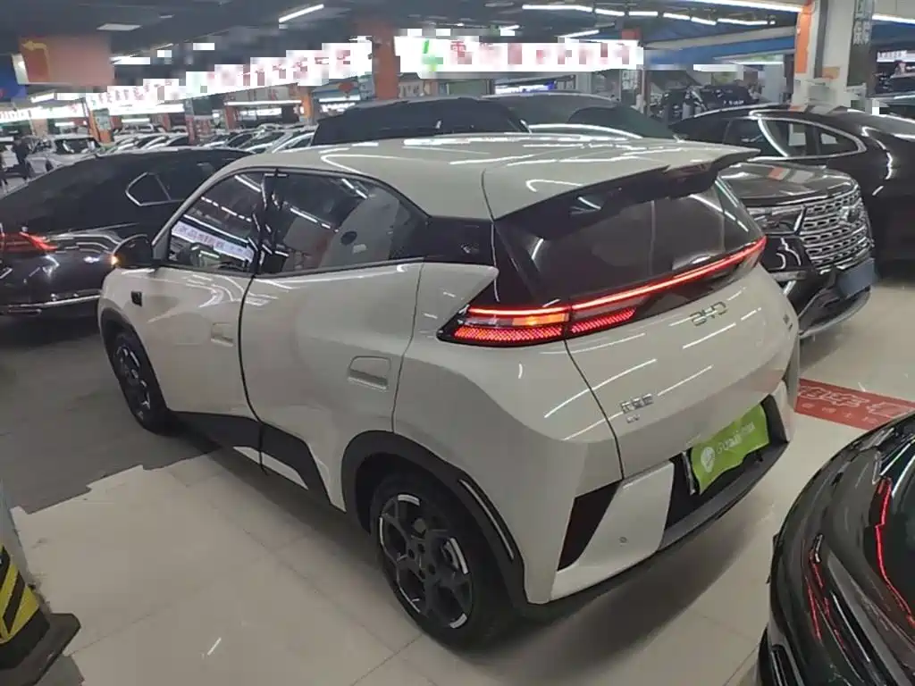 BYD Seagull 2025 Smart Drive Edition 305km Freedom Version фото 5