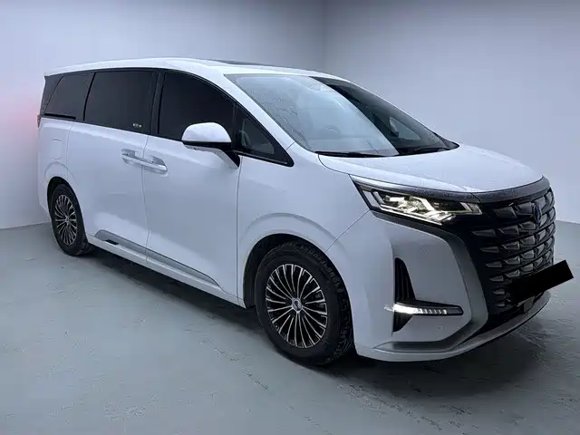 Denza D9 2023 2022 DM-i 970 All-Wheel Drive Honor Edition