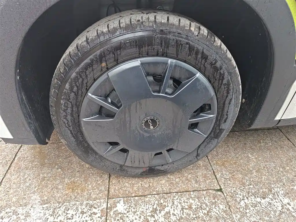 BYD Seagull 2025 Smart Drive Edition 305km Vitality Version фото 23