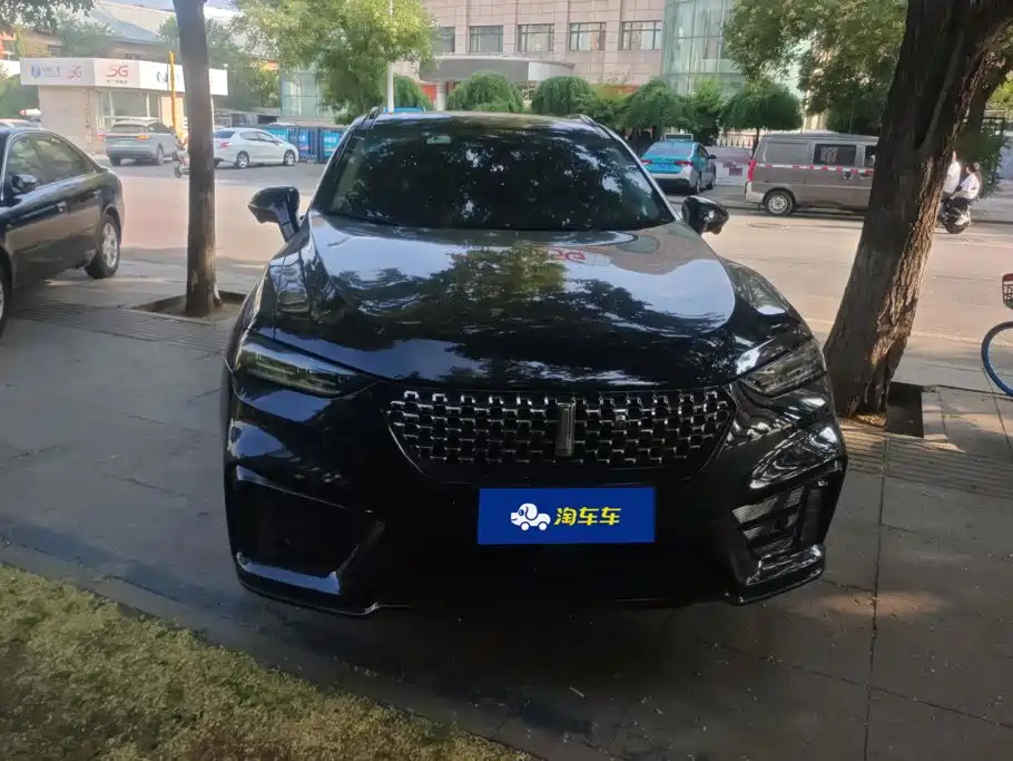 WEY VV7 2020 2021 Model 2.0T Technology Edition